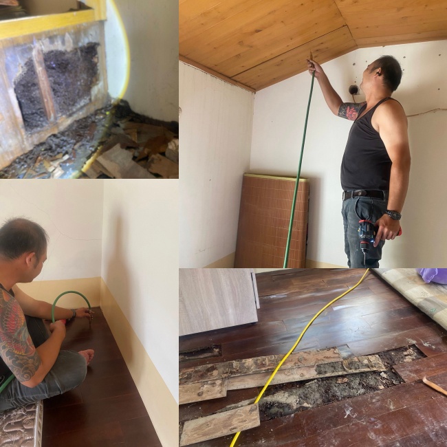 鴻福環保除蟲社