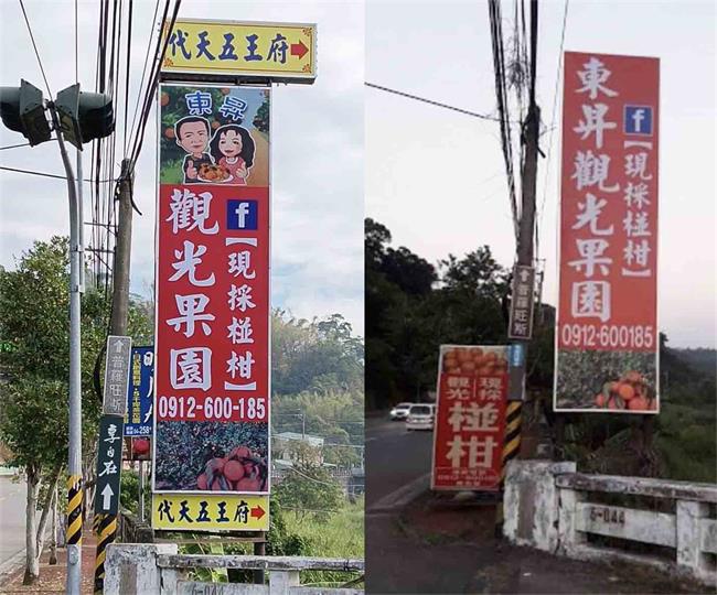 東昇觀光果園/大坑椪柑