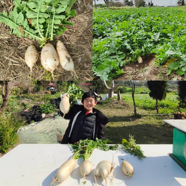 鳳崎真艾農園/新竹親子活動農場