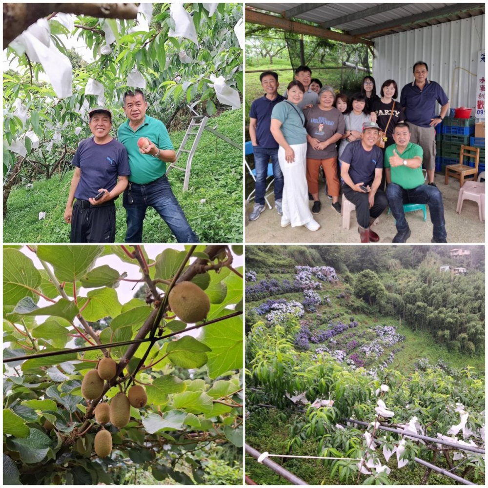 拉拉山冠桃果園