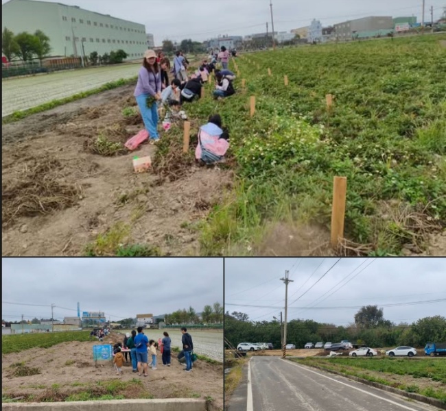 鳳崎真艾農園/新竹親子活動農場