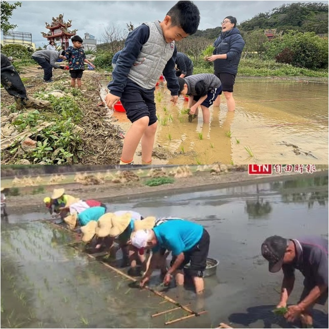 鳳崎真艾農園/新竹親子活動農場