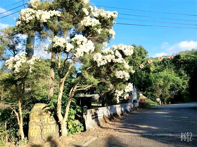 天花湖露營民宿 團體包場 戶外婚禮 烤肉派對