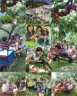拉拉山冠桃果園