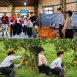 東昇觀光果園/大坑椪柑